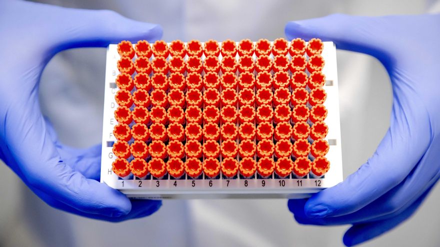 Pruebas de PCR en un laboratorio. EFE/EPA/ROBIN VAN LONKHUIJSEN/ Archivo