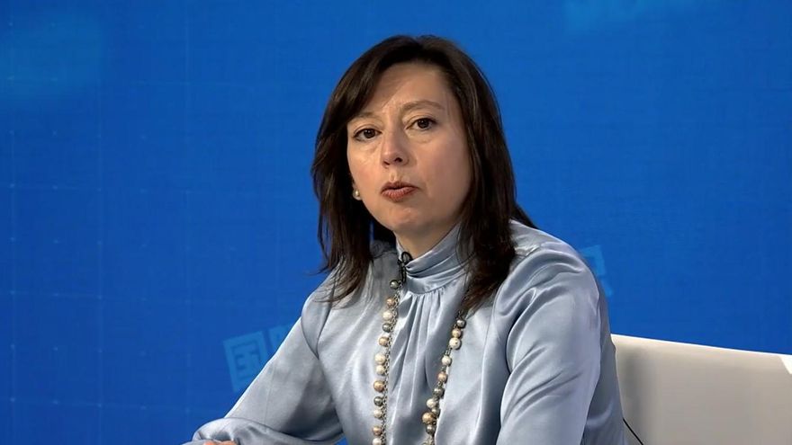 El FMI dice que avanzan las negociaciones con el Gobierno pero sigue sin fecha el giro clave de dólares