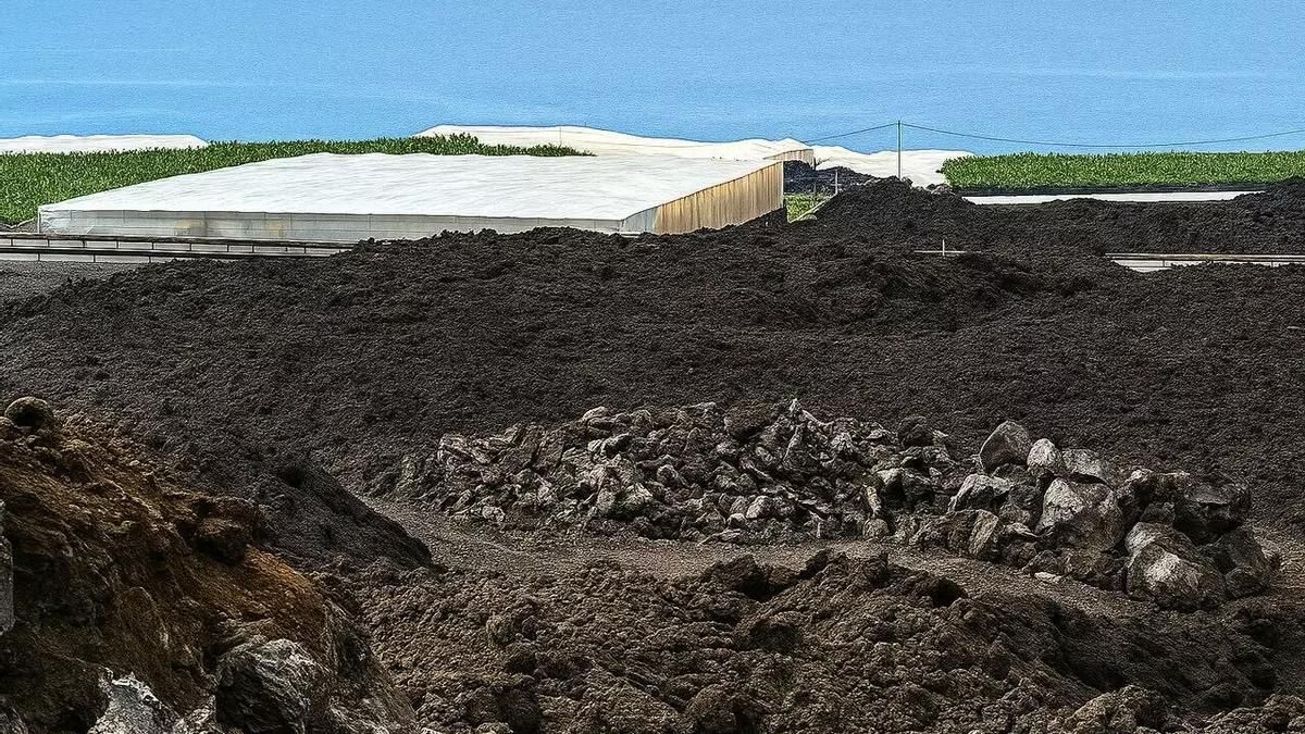 Canarias abonará  ya 40 millones en ayudas  por el volcán Tajogaite e intentará llegar a los 100  en diciembre