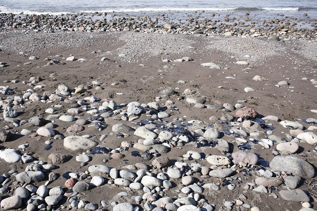 Recogida de fuel en la playa de Veneguera (Alejandro Ramos)