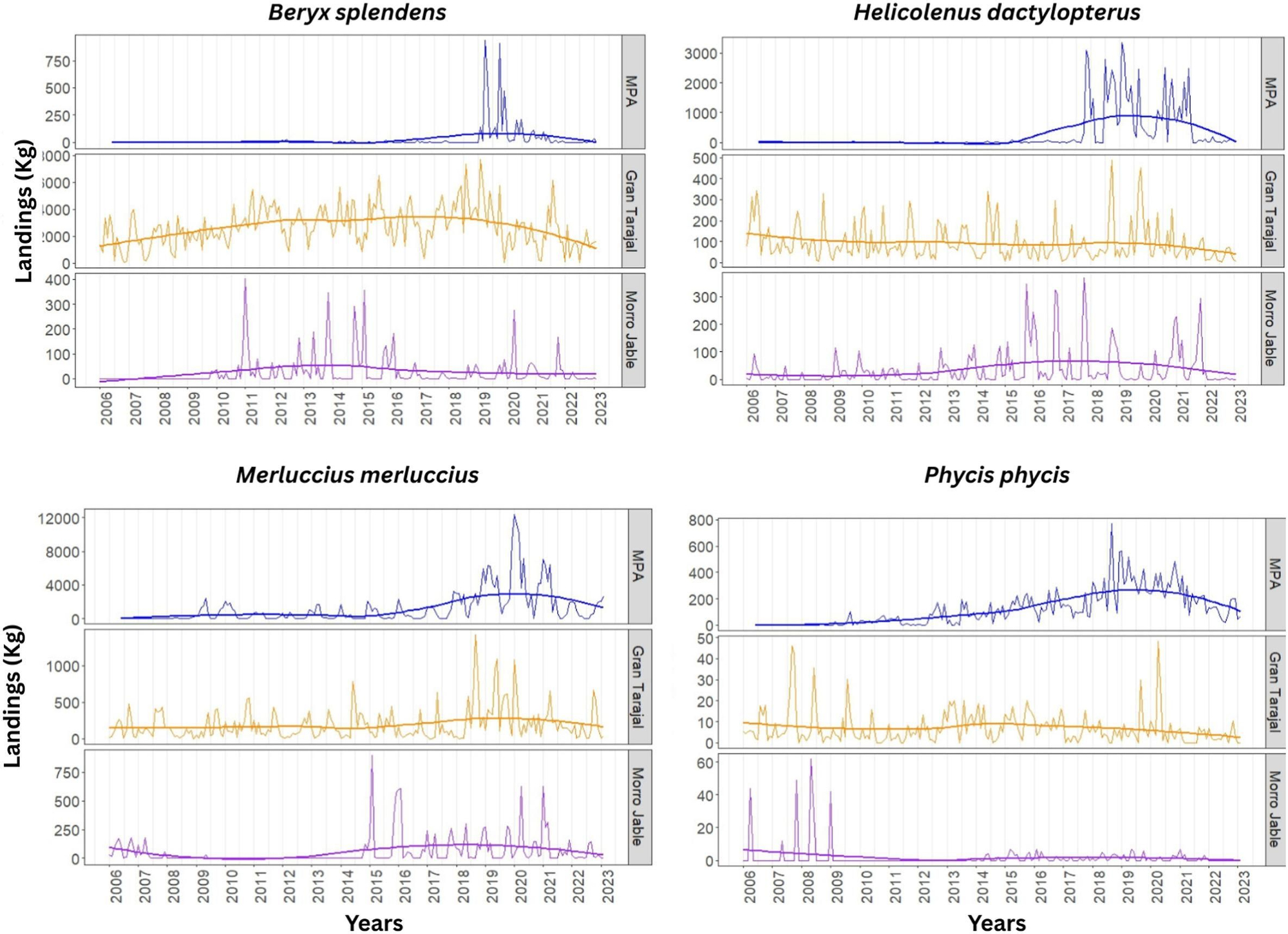Capturas (kg) de alfonsino (Beryx splendens), gallineta (Helicolenus dactylopterus), merluza (Merluccius) y brótola (Phycis) entre 2006 y 2023, desagregadas por zona de pesca (AMP, Gran Tarajal y Morro Jable)