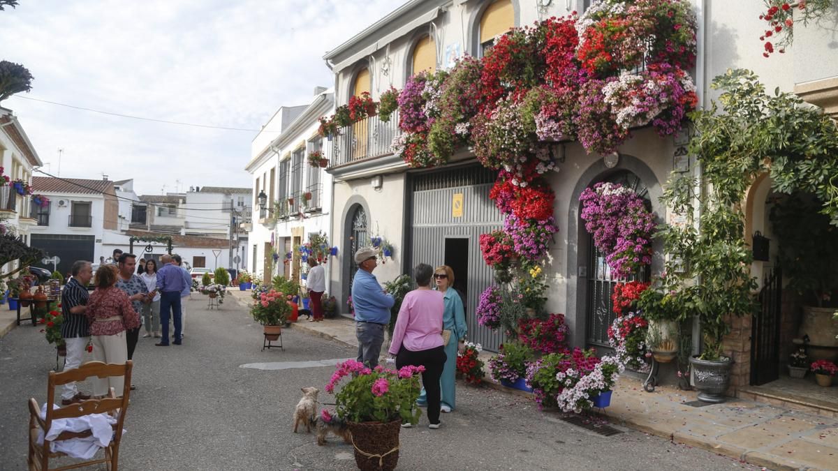 Calles en Flor 2026