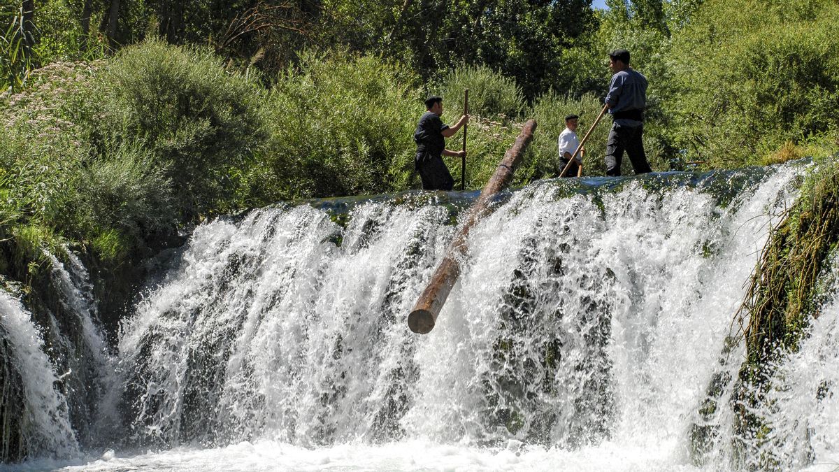 El arriesgado y desaparecido oficio de transportar troncos por el Tajo y que fue seña de identidad de esta zona de Castilla-La Mancha