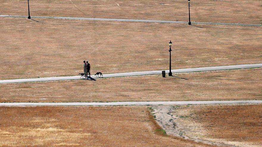 La extrema derecha británica invita a “disfrutar” las olas de calor que han traído sequía, incendios y descarrilamientos