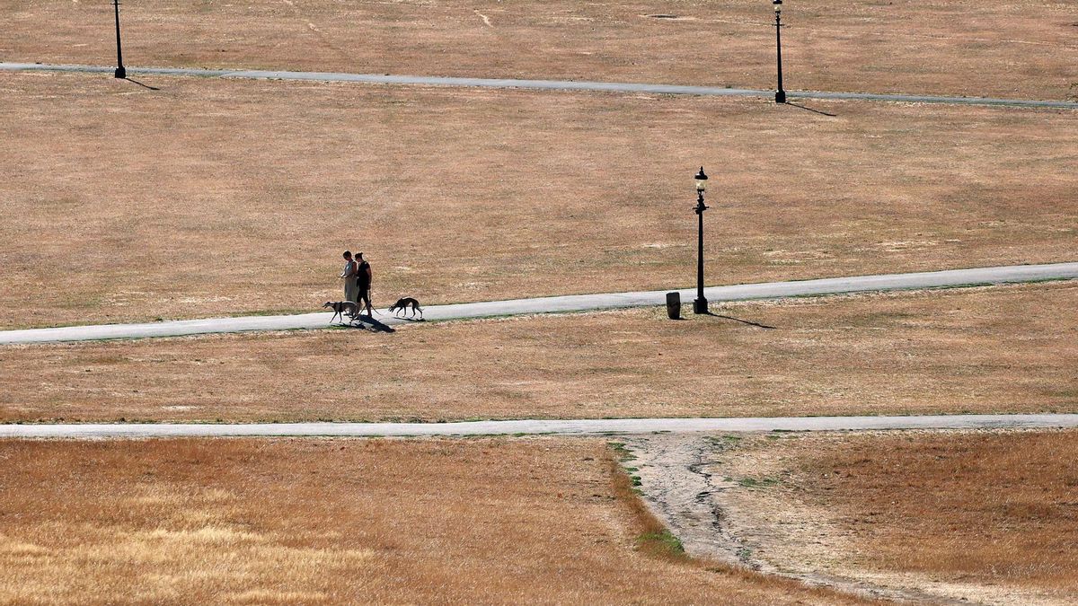 Dos personas en una pradera seca por la olas de calor y la sequía, el 12 de agosto, en Primrose Hill, Londres.