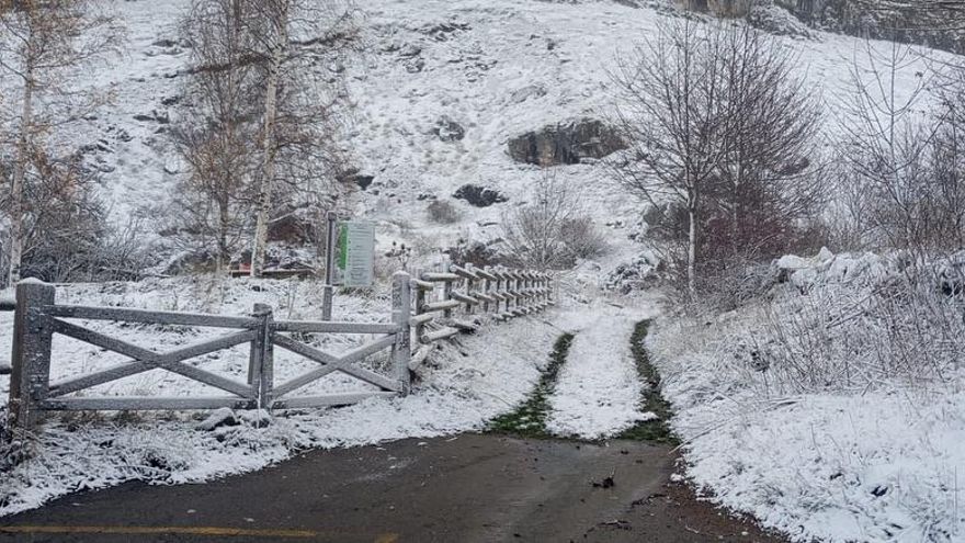 "Hemos activado la fábrica de la nieve": Aviso desde la Montaña de León para la primera fotogalería del otoño
