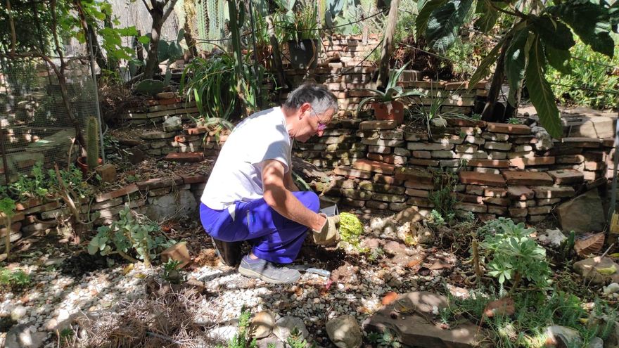 Plantando cactus en el jardín de Esta es una plaza, a cuyo cuidado dedica Antonio Alfaro sus mañanas