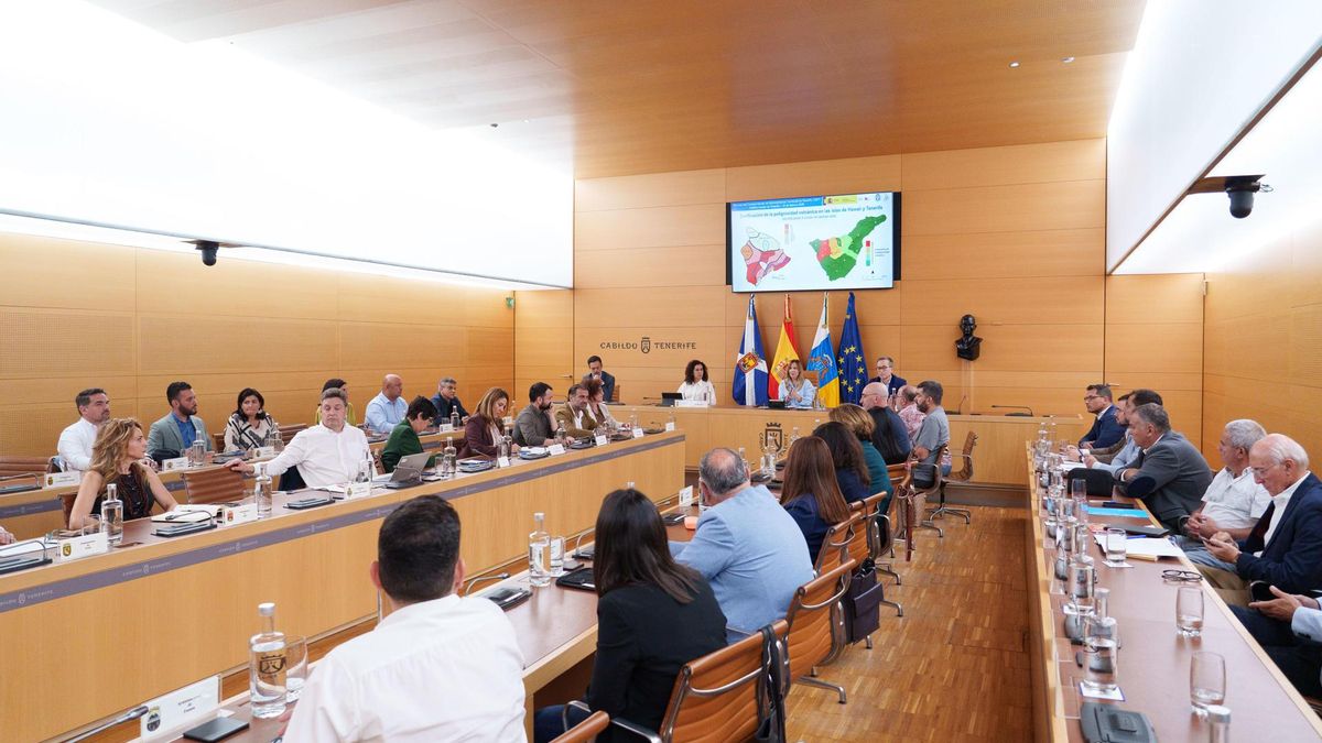 Reunión del Pevolca este lunes, en el Cabildo de Tenerife.