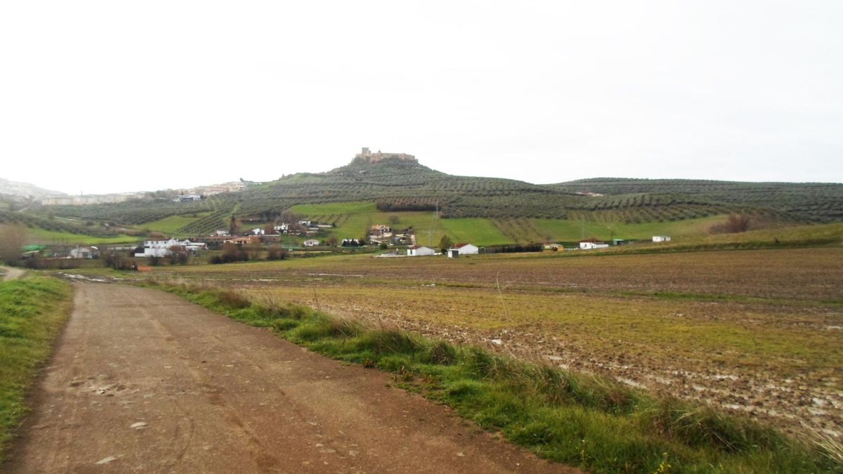 Perfil de Alcalá la Real.