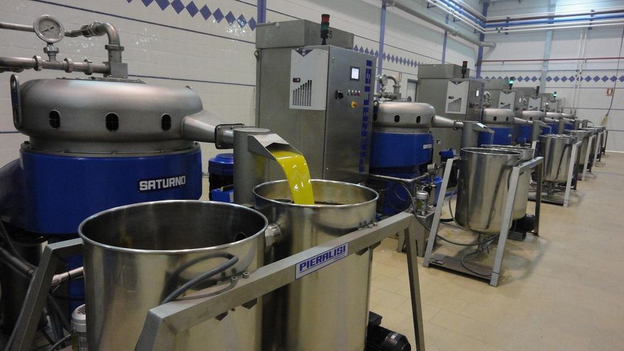 Las estimaciones para la próxima campaña de aceite de oliva prevén una producción de 120.000 toneladas en la región