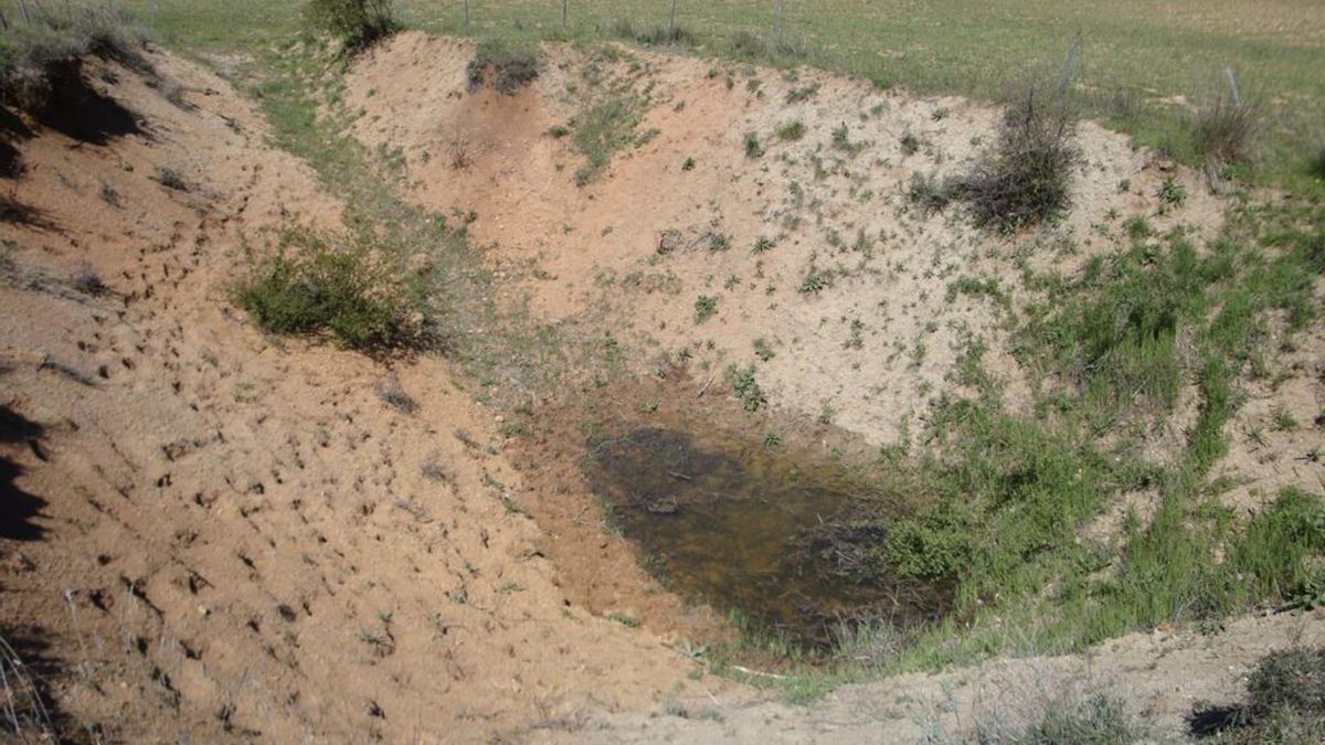 Un estudio desmonta que el yacimiento de Torralba fuera un matadero de elefantes