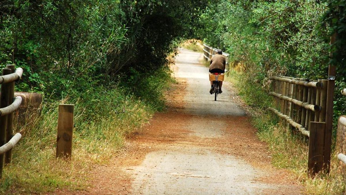 La agradable ruta que transcurre entre ríos, arroyos y molinos harineros construidos en el siglo XV en esta provincia andaluza