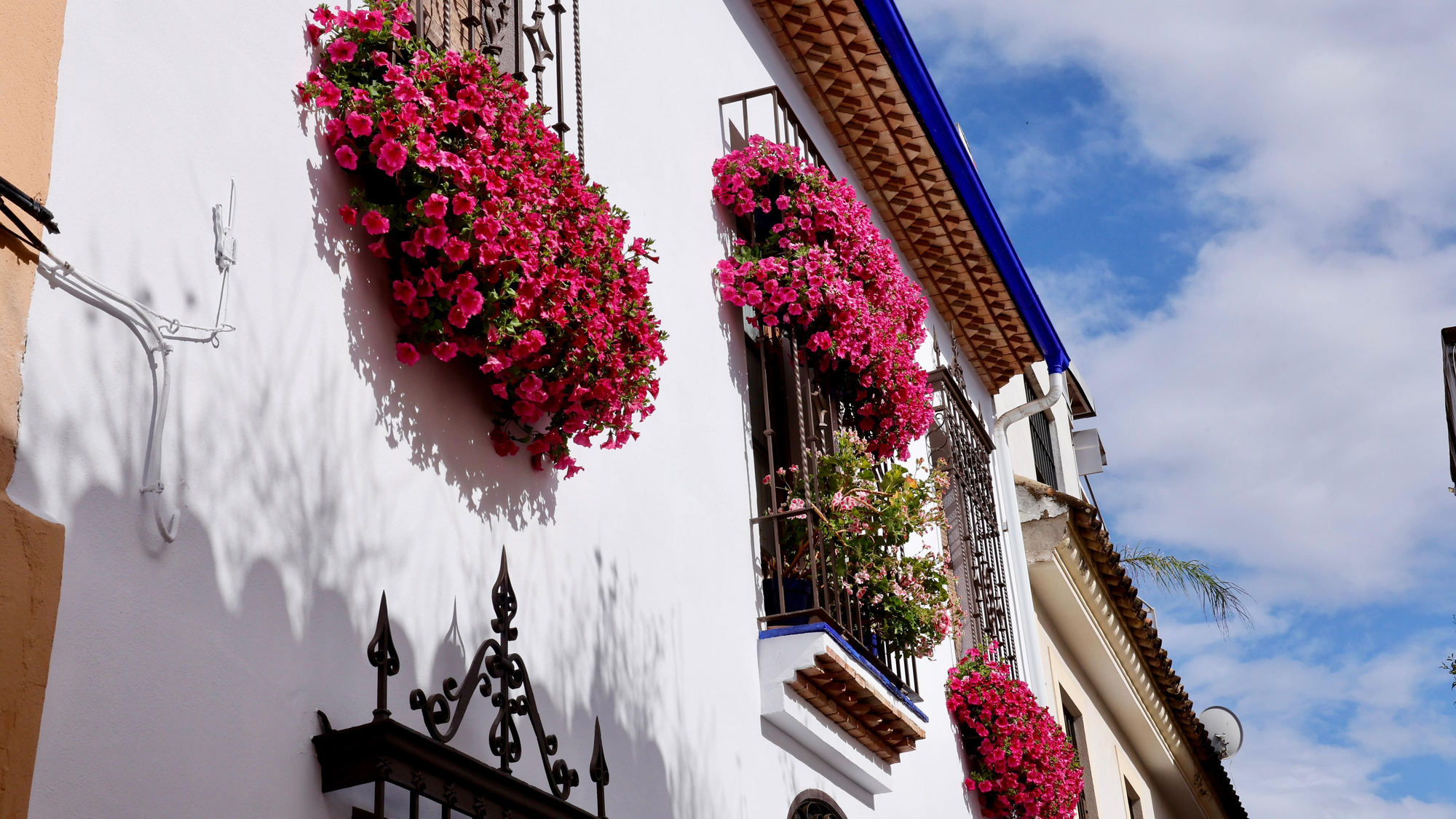Segundo premio de Rejas y Balcones en Pastora, 2