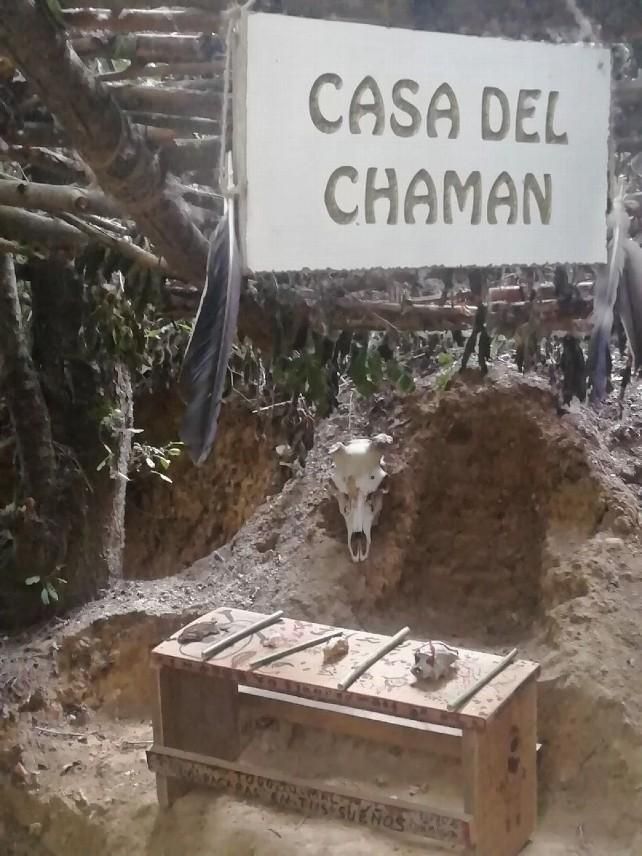 Meticulosa disposición de diferentes calaveras de animales dentro de la choza.