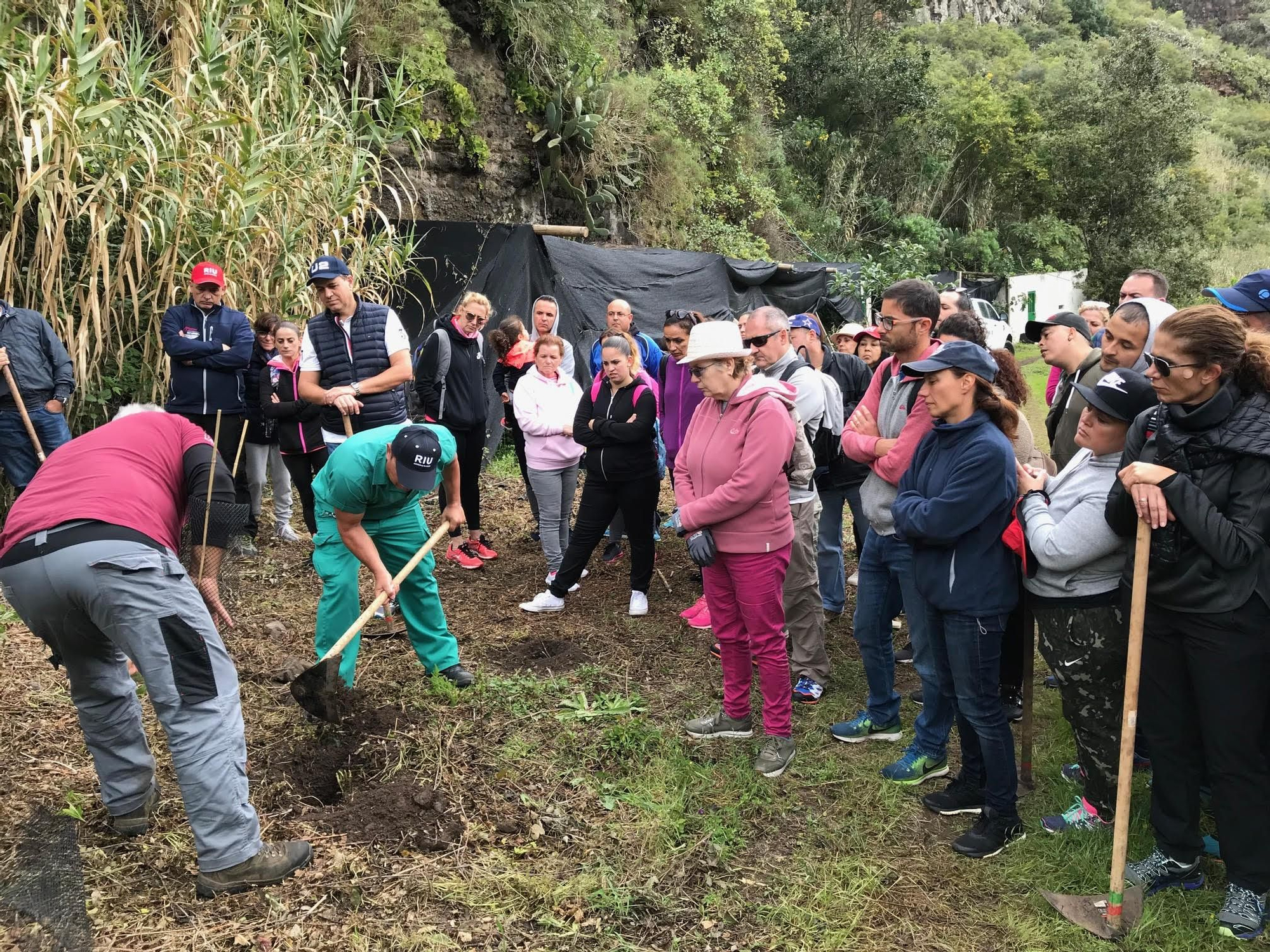 RIU Hotels organiza su segunda reforestación en Gran Canaria con la plantación de 300 plantas y árboles