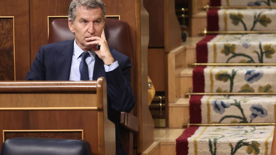 El presidente del Partido Popular, Alberto Núñez Feijóo, durante una sesión plenaria en el Congreso de los Diputados.