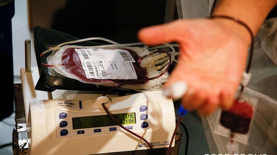 "Los donantes se van de vacaciones pero los enfermos se quedan": Córdoba busca 7.500 donaciones de sangre este verano