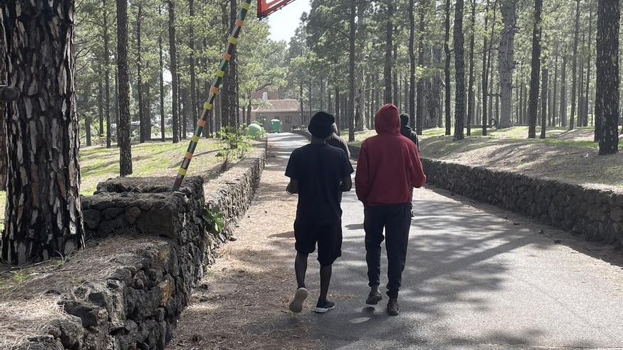 Empresarios canarios piden formar a jóvenes migrantes ante la "carencia imperiosa" de mano de obra en algunos sectores