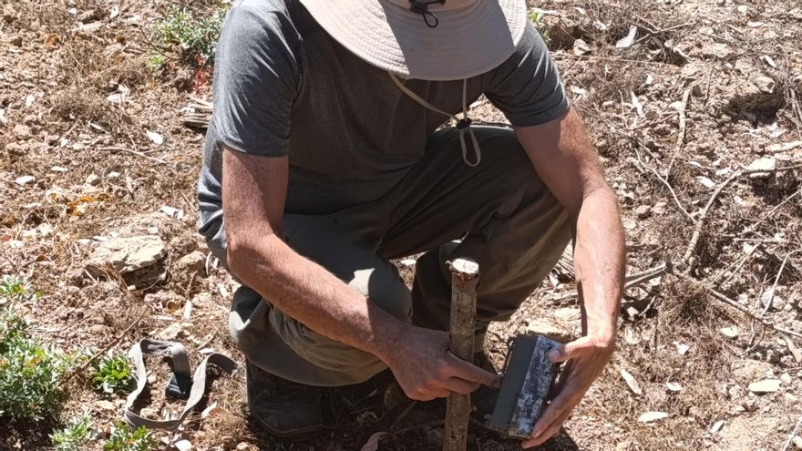 Estaca para fijar una cámara de fotografía (un sensor la activa al paso de algún objeto) junto a un paso subterráneo en la carretera N-122 en Mértola, Portugal