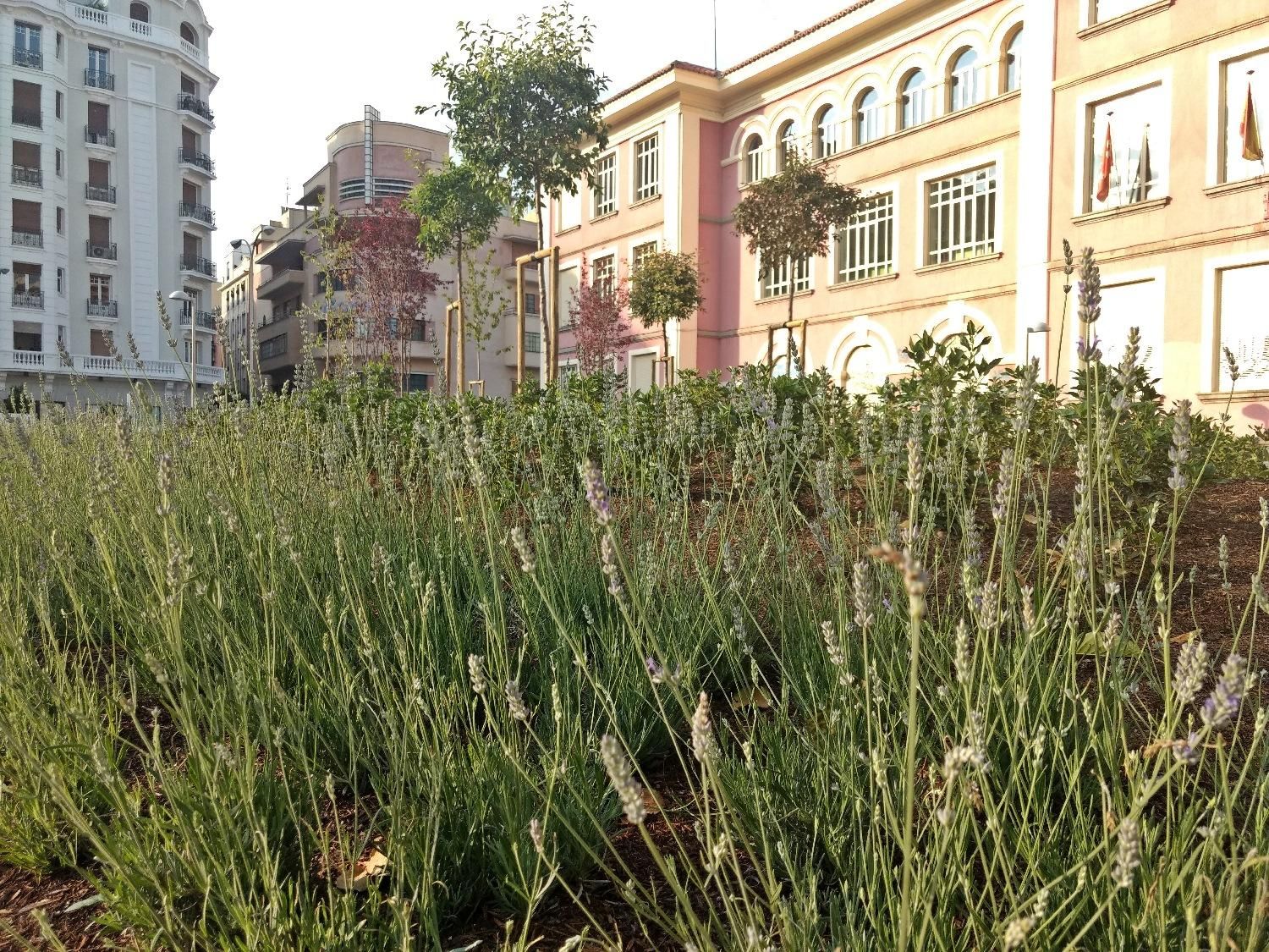 Jardines Arquitecto Ribera