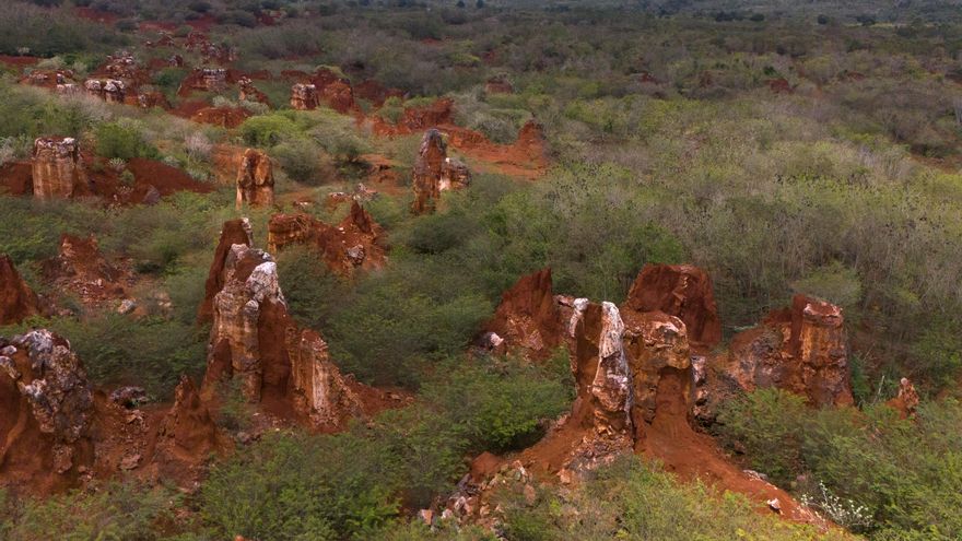 China restringe la exportación de tecnologías relacionadas con las tierras raras