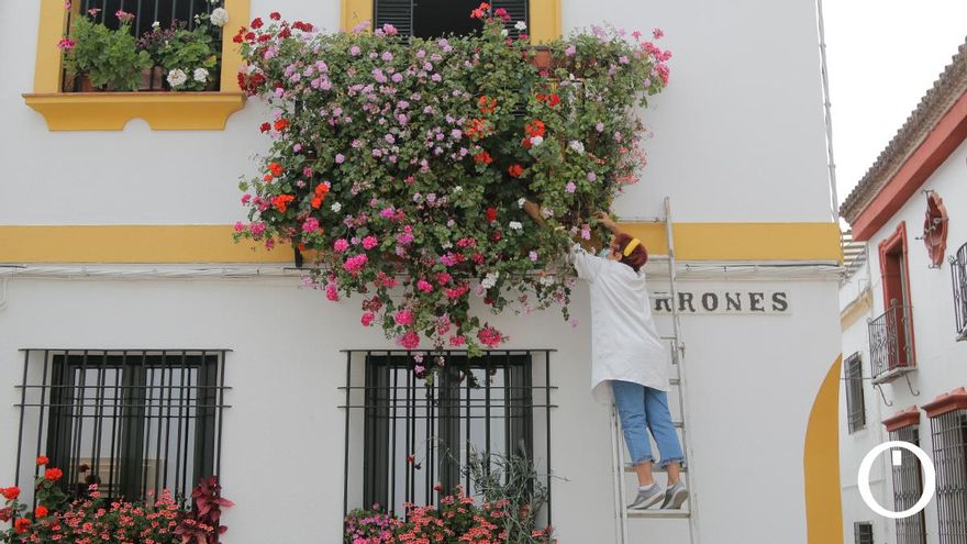 Rejas y balcones en la calle Terrones