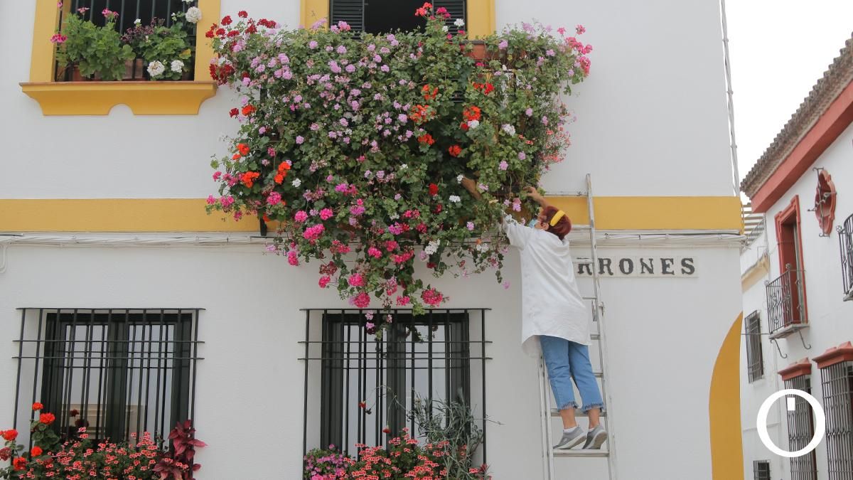 Rejas y Balcones en la C/ Terrones, 8