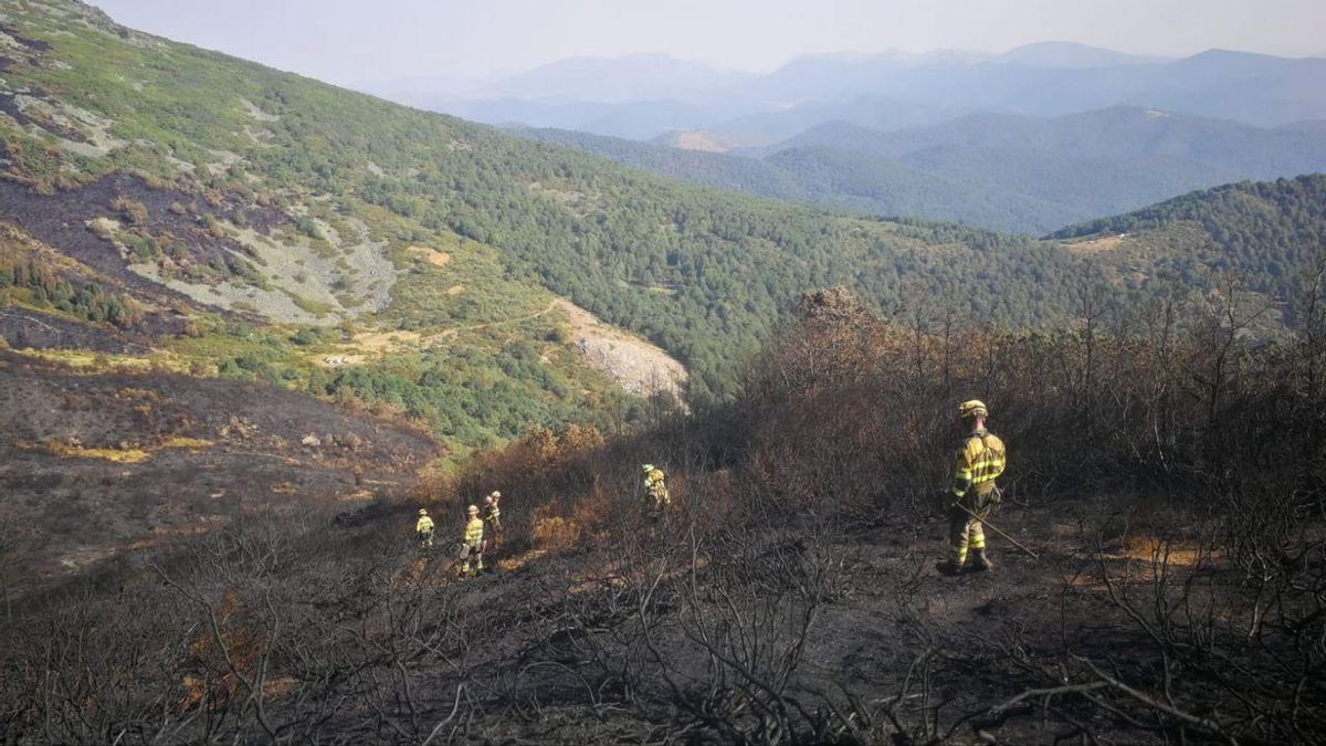Integrantes de las cuadrillas forestales aragonesas desplazadas este verano a Castilla y León para colaborar en la extinción de incendios en esa región.