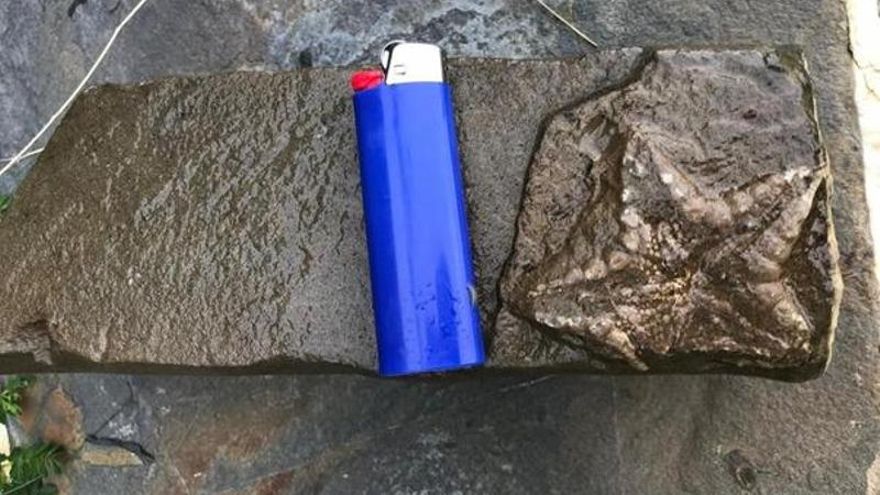 Descubierto un excepcional fósil de estrella de mar en el Parque Nacional de Ordesa y Monte Perdido