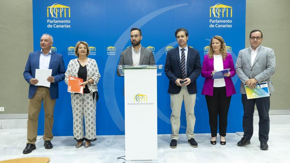 Diputados del los grupos parlamentarios de PSOE, CC, PP, NC, ASG y Mixto han presentado en rueda de prensa una proposición de ley de accesibilidad universal de Canarias. EFE/Miguel Barreto