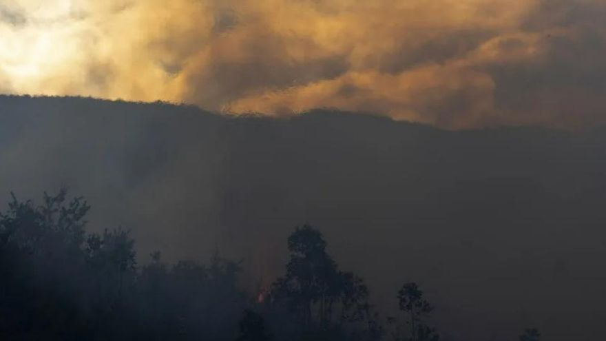 El fuego quemó en España 354.793 hectáreas en 2025, el peor año de incendios forestales de las últimas tres décadas