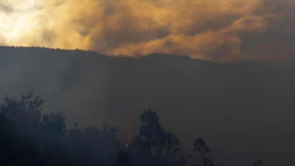 El fuego quemó en España 354.793 hectáreas en 2025, el peor año de incendios forestales de las últimas tres décadas