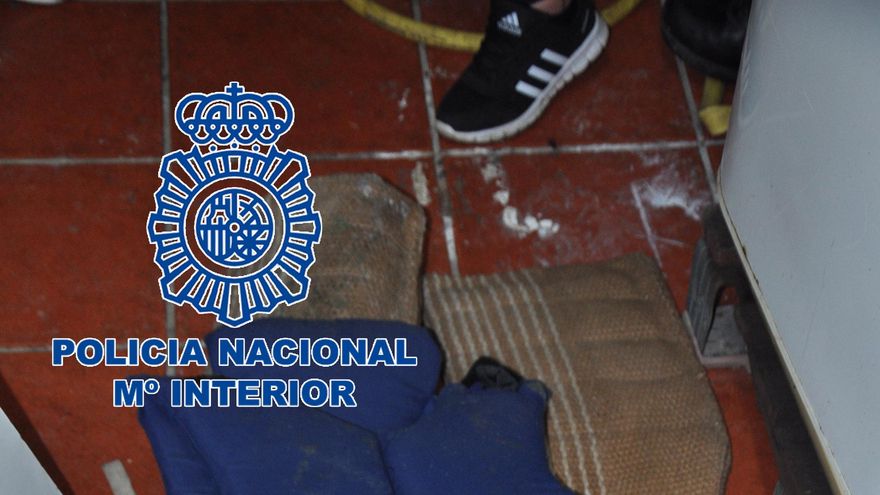 Galería: operación de la Policía Nacional contra la red de peleas de perros