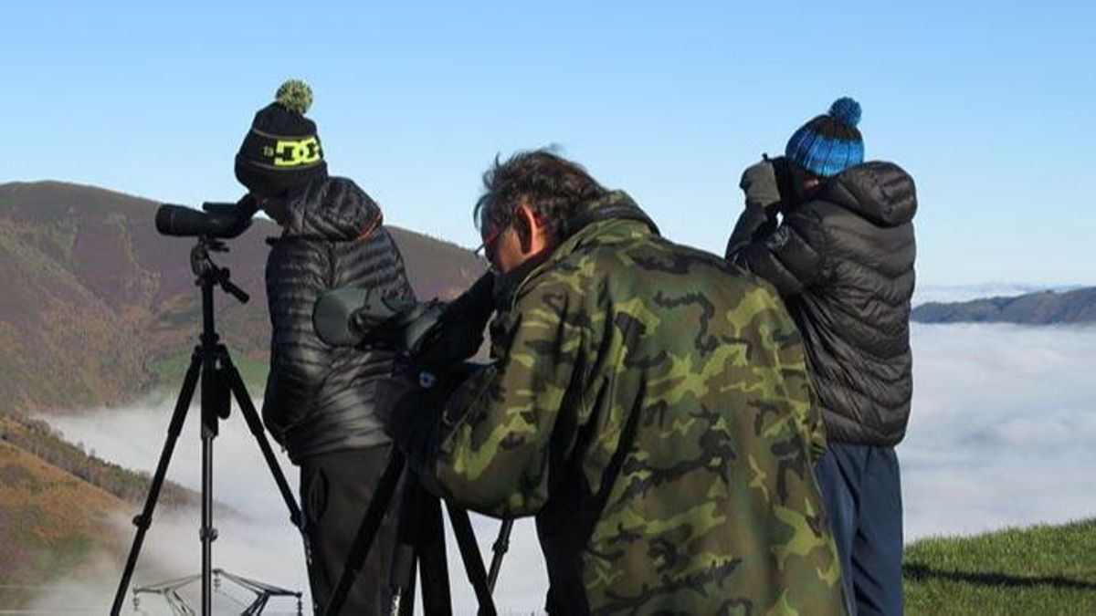 Observación de fauna respetando la distancia mínima.