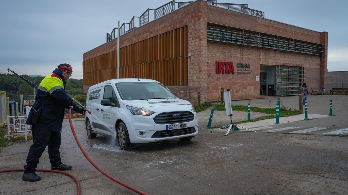 Un Mosso d'Esquadra desinfecta un vehículo en las inmediaciones del Centro de Investigación en Sanidad Animal (IRTA-CReSA) de Bellaterra el 4 de diciembre.