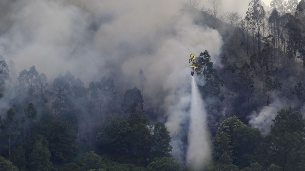 El Gobierno asturiano ha declarado el paso a Fase de Emergencia en Situación 1 del Plan de Incendios Forestales del Prinpado (INFOPA) . En la imagen, el incendio declarado en el concejo de Grado.