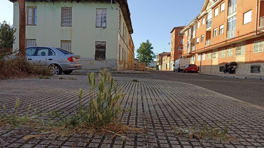 Armunia amenaza con movilizaciones y acudir a los tribunales si el Ayuntamiento de León no aumenta su financiación