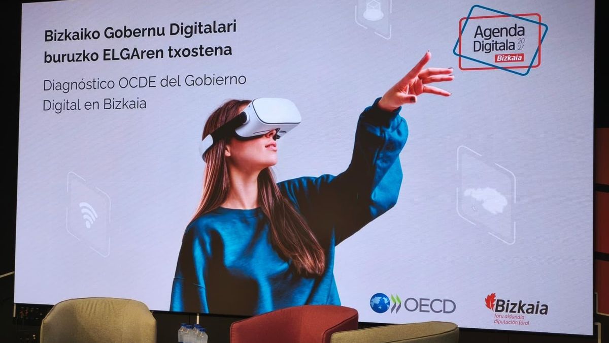 La OCDE ve a Bizkaia "bien posicionada" en gobierno digital y con intención de "mejorar la accesibilidad"