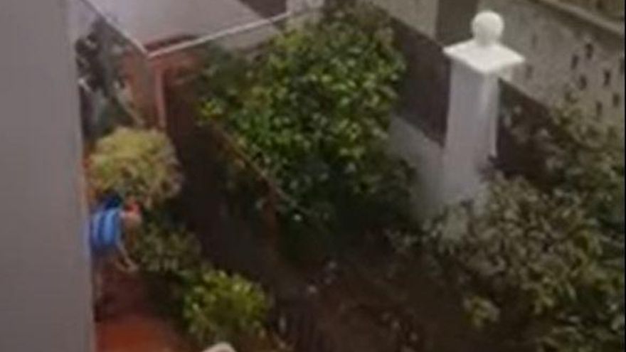 La Policía Local de La Laguna llevará a la Fiscalía el vídeo del perro apaleado en Bajamar
