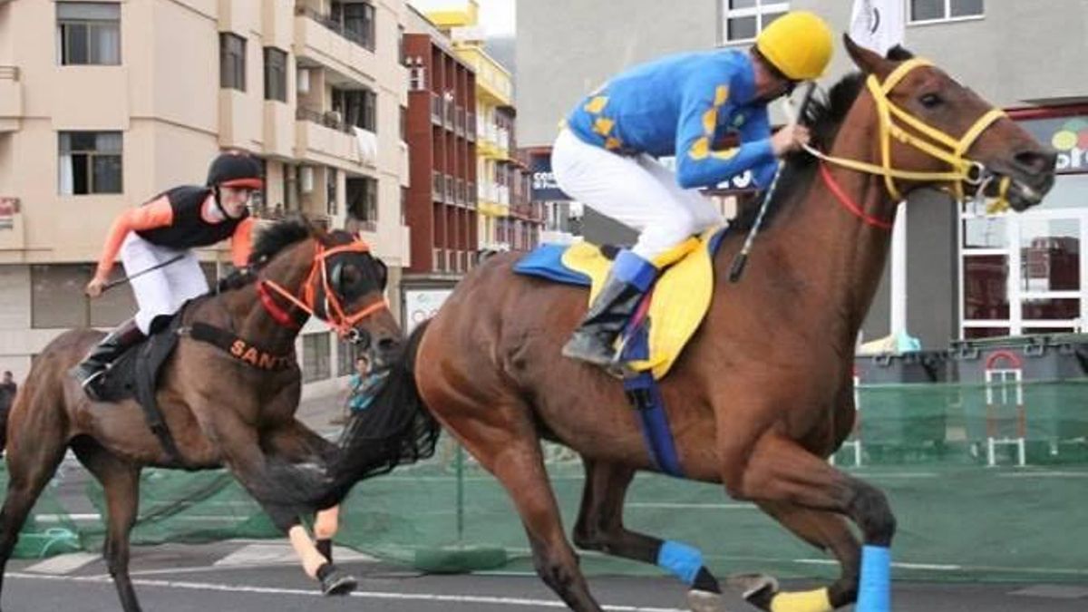 Los Llanos de Aridane revive la emoción de las carreras de caballos de La Patrona con ocho duelos