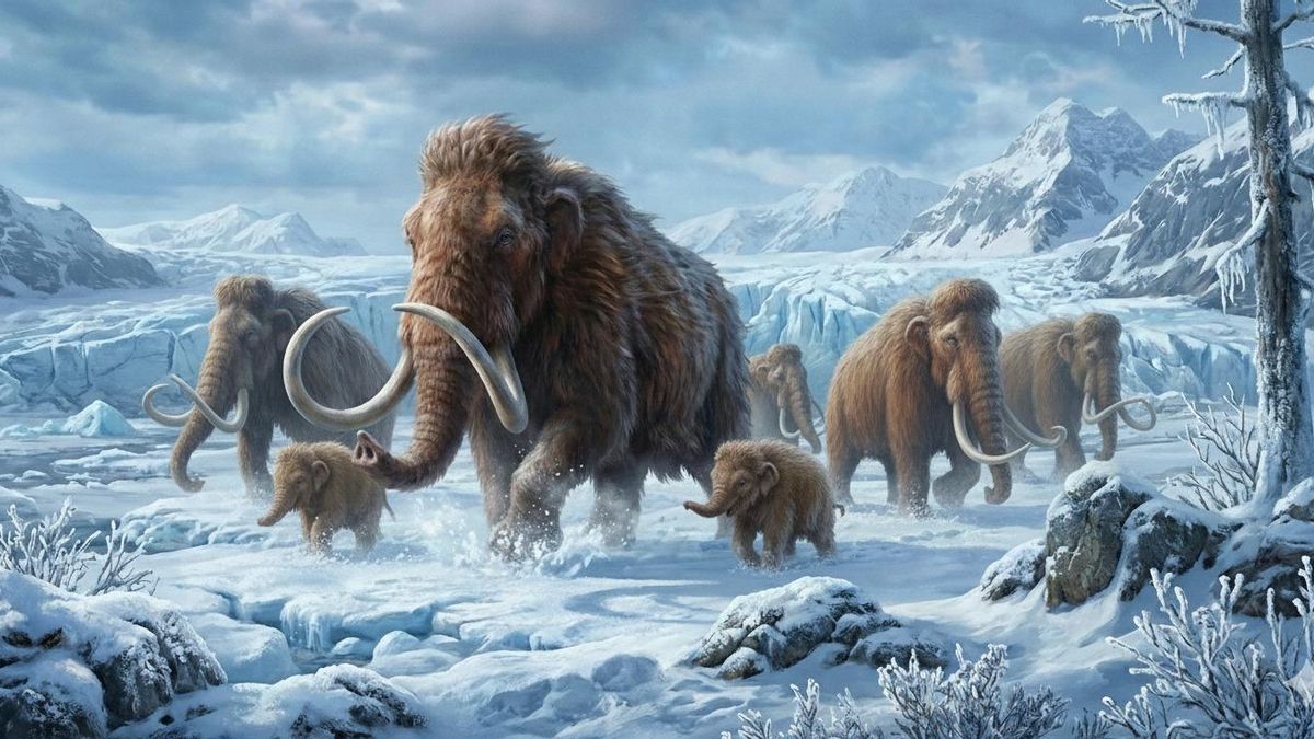 El gran volumen corporal plantea exigencias que terminan pasando factura