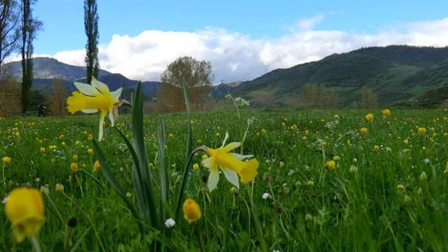 Fotografía del blog La Senda del Hayedo.