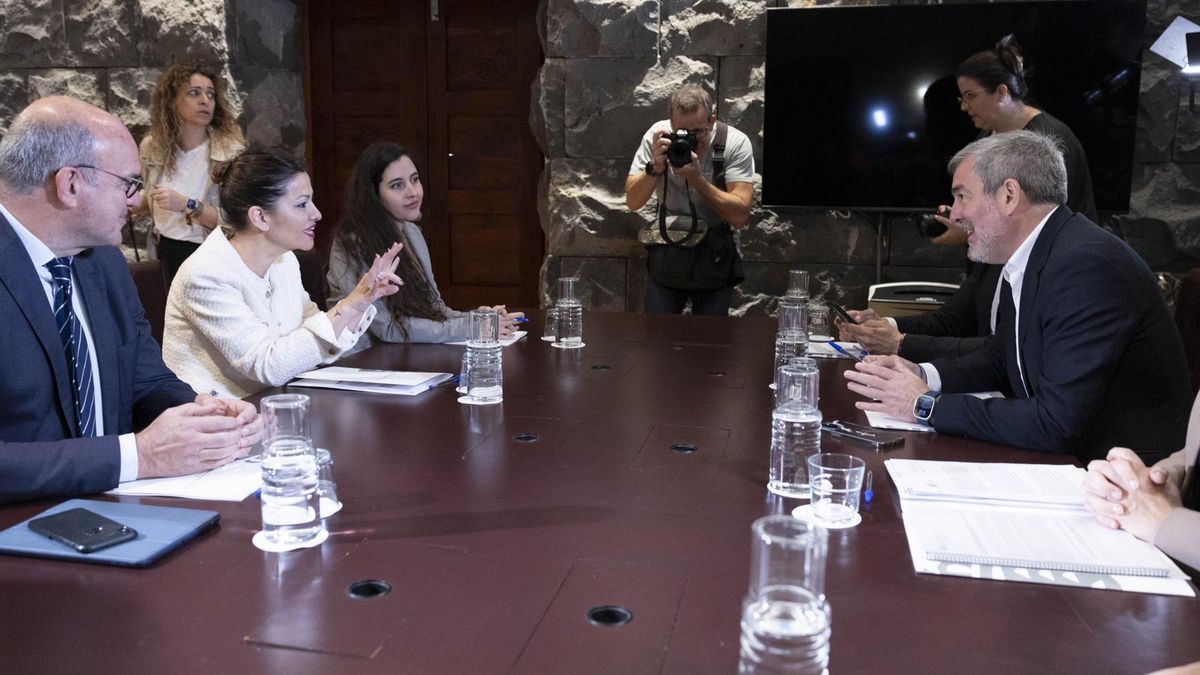 Rego y Clavijo, en la reunión mantenida este miércoles en Tenerife.