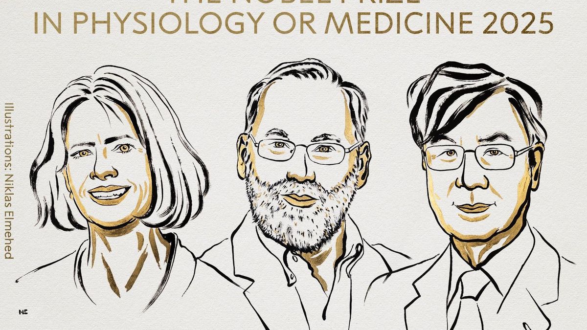 Los Nobel de Medicina 2025, Mary E. Brunkow, Fred Ramsdell y Shimon Sakaguchi.