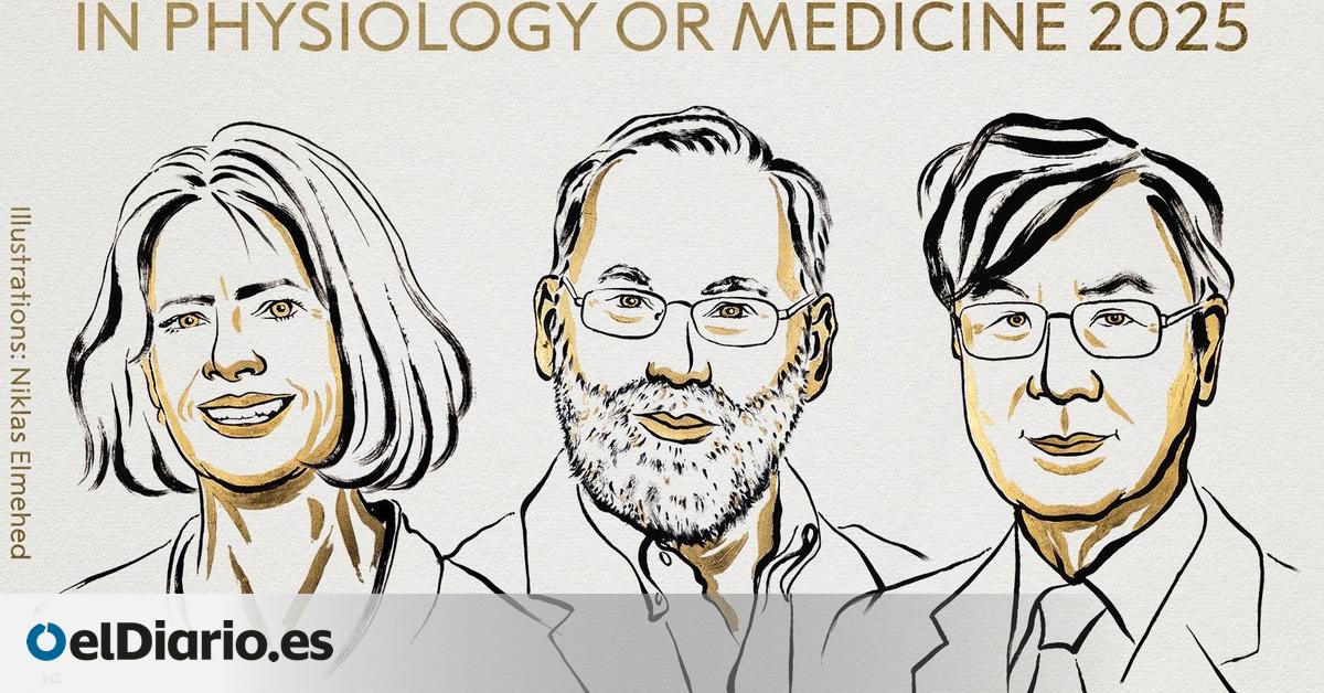 Premio Nobel de Medicina 2025 para los descubridores de las células guardianas del sistema inmunitario