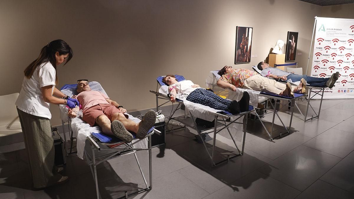 Donación de sangre en la sede de la Fundación Cajasol de Córdoba