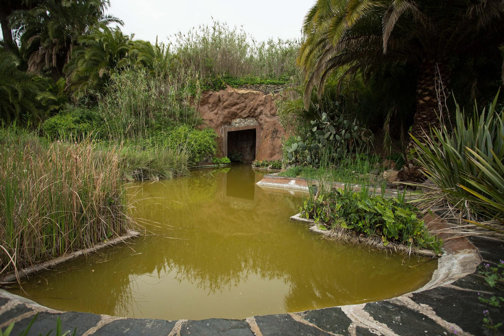 Recorrido institucional por el Barranco del Guiniguada en el Día Mundial del Agua.