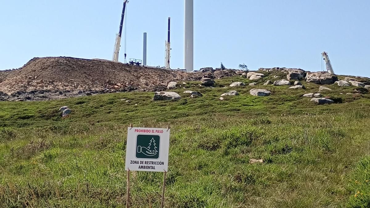 Colectivos Vecinales denuncia "la destrucción de especies en vías de extinción" en las obras del polígono eólico de El Escudo