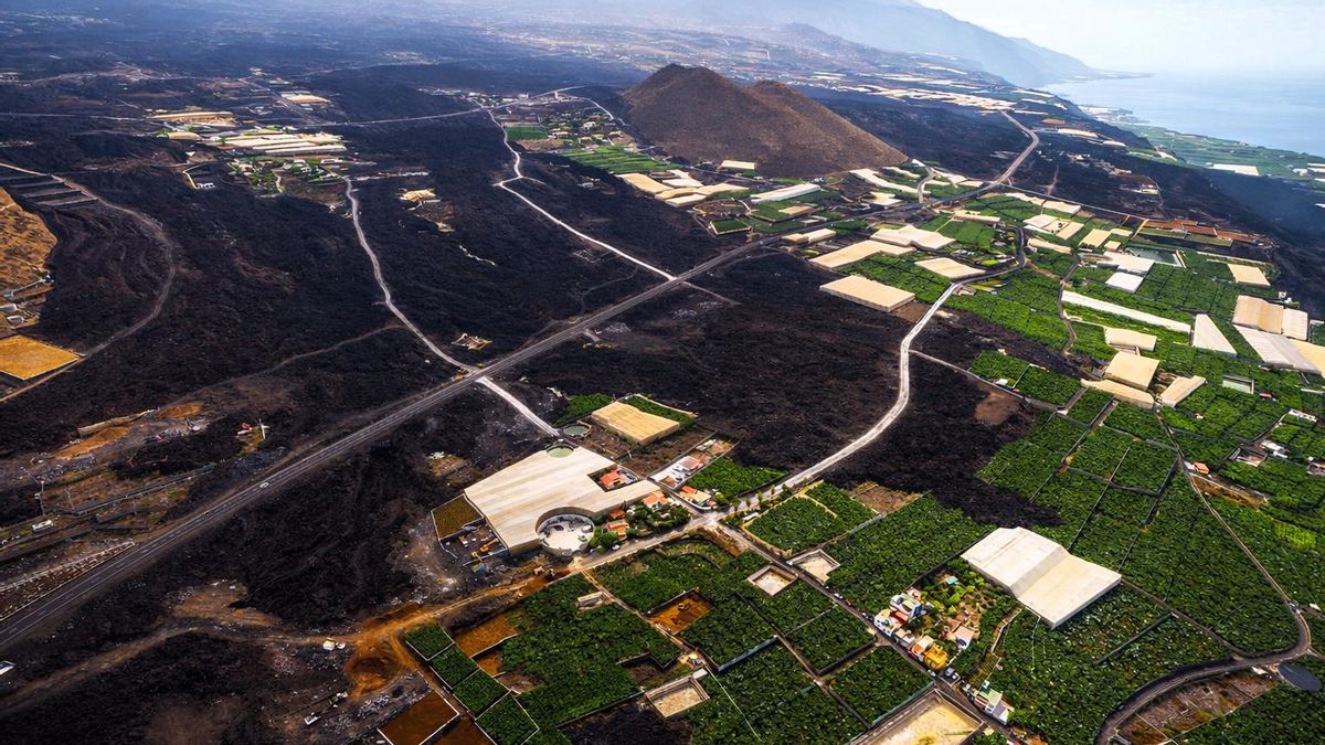 La patronal agraria de La Palma reclama al Estado los fondos “pendientes para completar la reconstrucción”