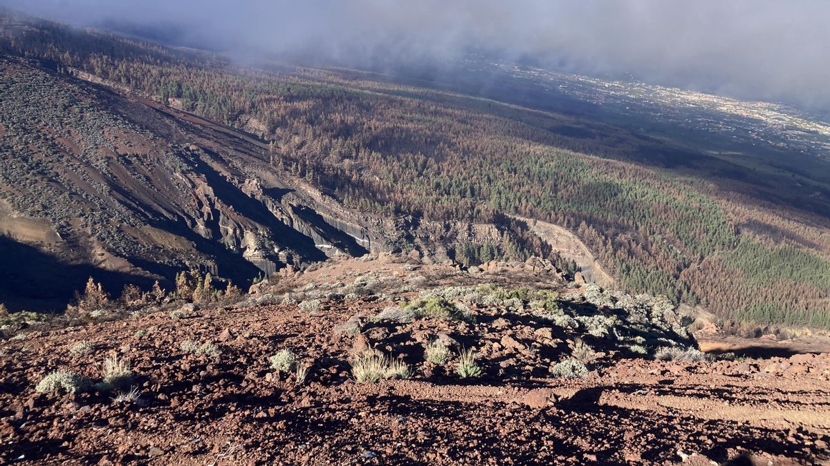 Vista del monte afectado por el incendio en el Valle de La Orotava, imagen captada desde una zona cercana a Izaña, en sentido este-oeste.